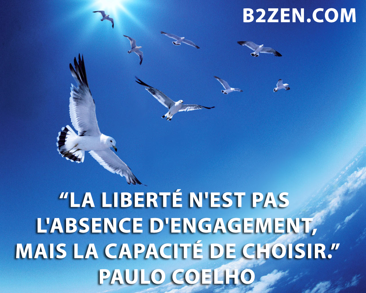 Typez des citations ! - Page 12 Citation-liberte-coelho