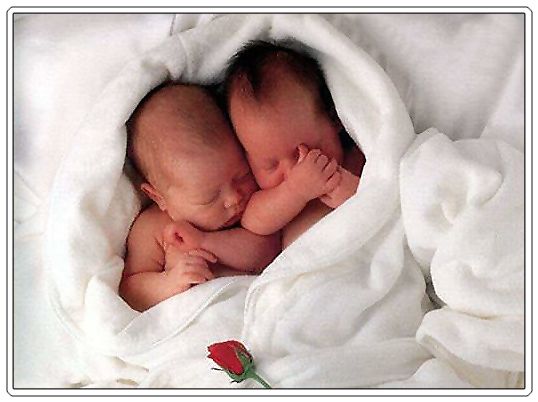 baby Newborn-twins