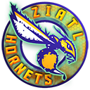 LOGOS Saison 2520 Hornets-128