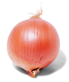      ڿ..    ڿ Onion