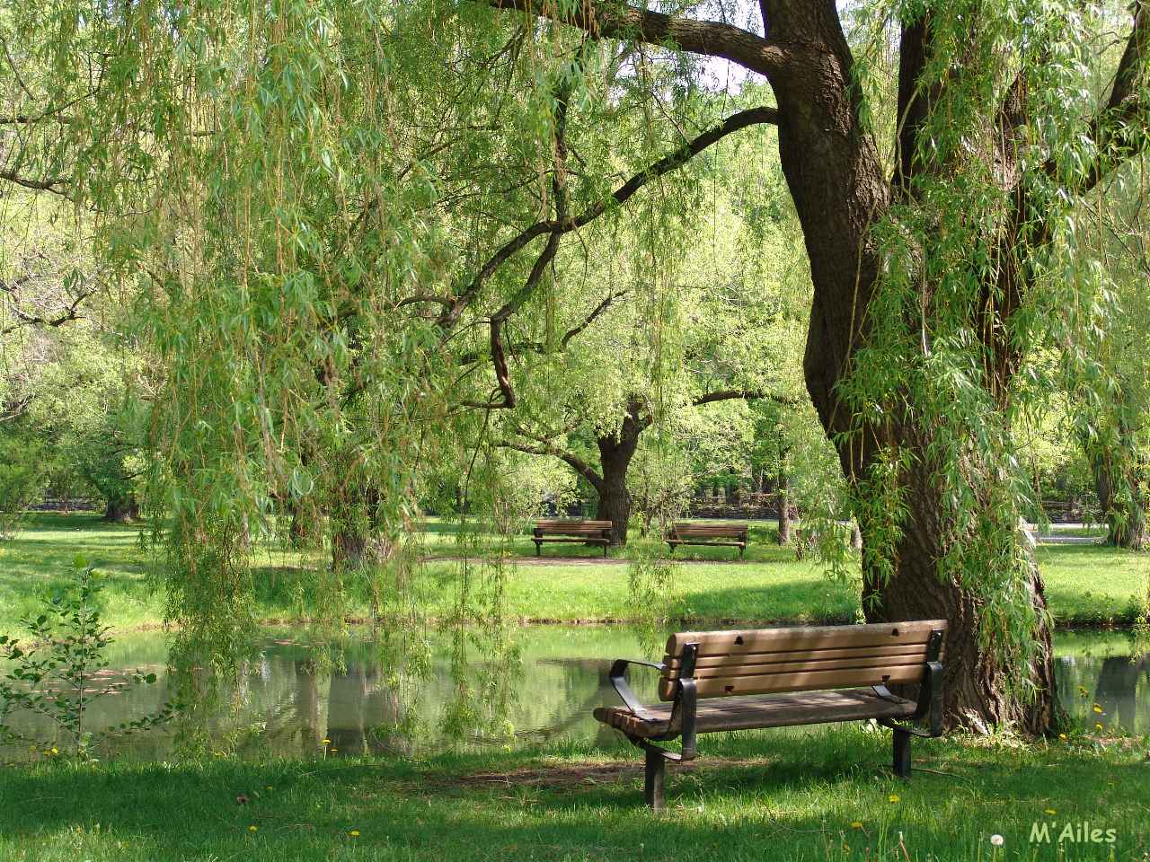 Endroit a visité en famille Quietude_jardin_botanique_montreal