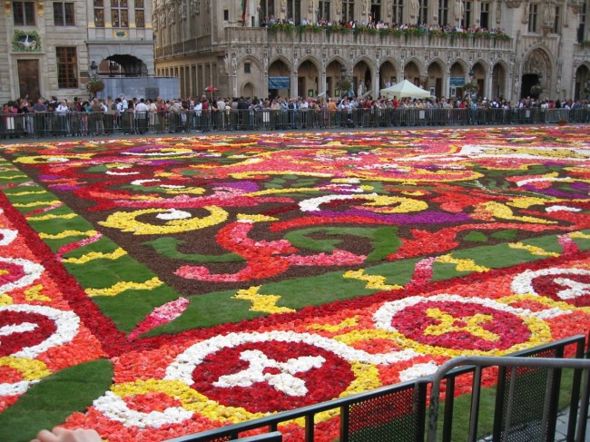 Tepih cveća u Briselu – Flower carpet Briselski-festival-begonija-2-e1288388706370