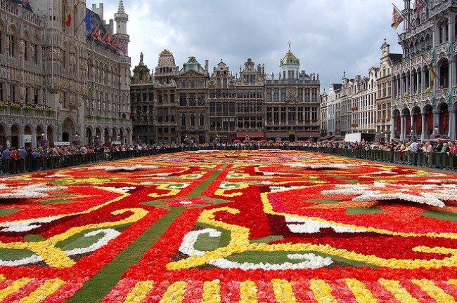 Tepih cveća u Briselu – Flower carpet Briselski-festival-cve%C4%87a-3-e1288388482705