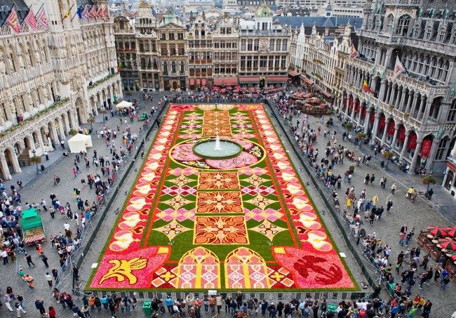 Tepih cveća u Briselu – Flower carpet Briselski-festival-cve%C4%87a-i-begonija-e1288388589877