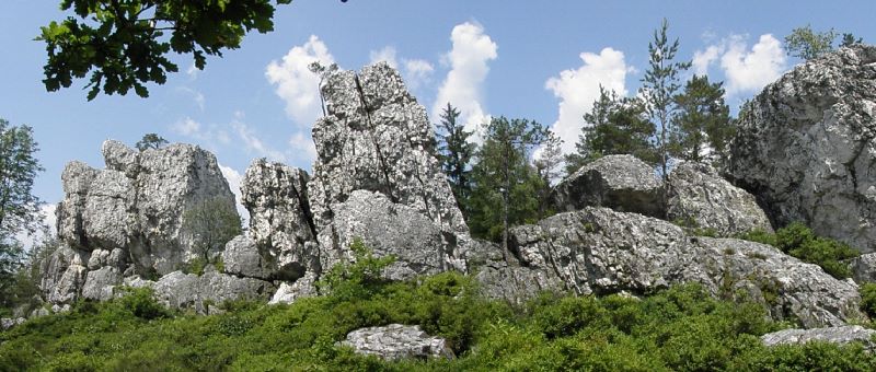 [RPG]Das Lager des Himmelsclans Viechtach-naturschutzgebiet-grosser-pfahl-bayern-felsen-panorama