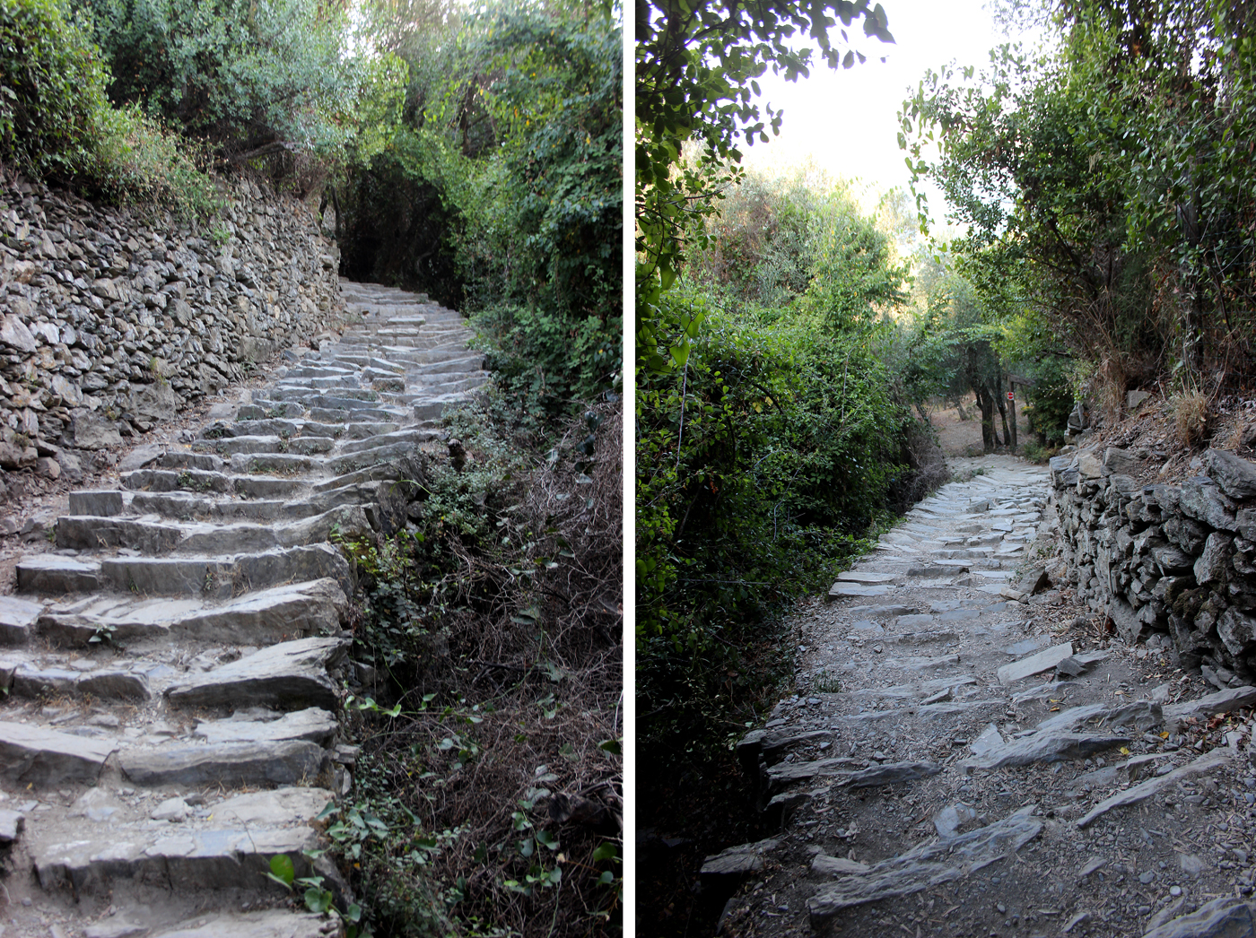 Randonnées sur les sentiers des Cinque terre . Scala