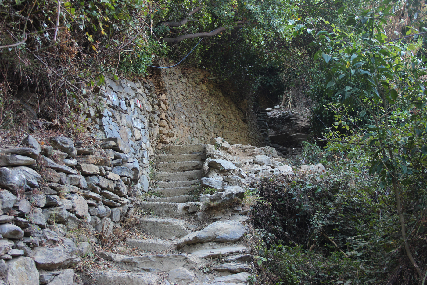 Randonnées sur les sentiers des Cinque terre . Vers-Vernazza1