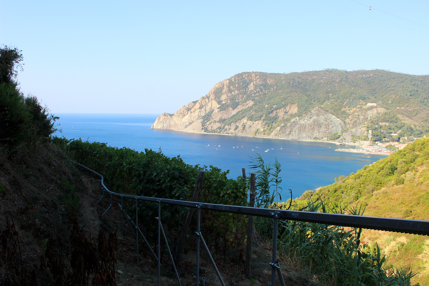 Randonnées sur les sentiers des Cinque terre . Vers-Vernazza_engin-vigne0