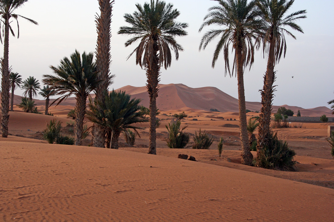 السياحة الصحراوية بالمغرب Lev-sol
