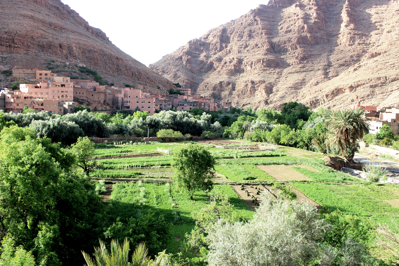 Carnet de voyage au Maroc en van Gorge_Todgha5