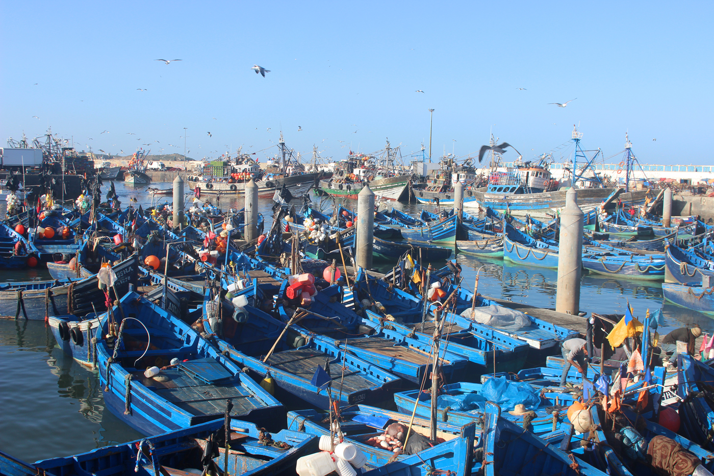 Carnet de voyage au Maroc en van Poiss00