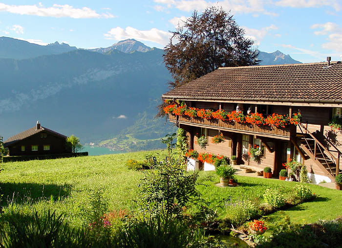 سويسرا...... Dorf_chalet_silke