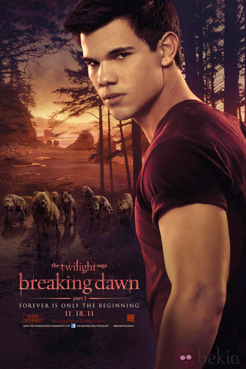 La Saga Crepúsculo: Amanecer (Parte 1) 5590_taylor-lautner-en-el-cartel-de-amanecer-parte-1