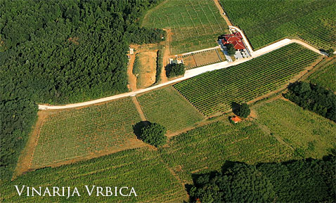 Tradicionalna srpska pića Vrbica