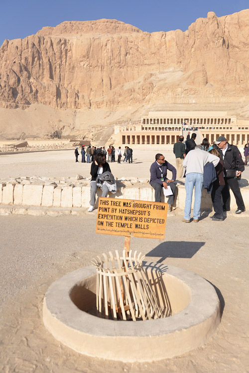 Imagenes  Egypt2011_11-1023_Hatshepsut