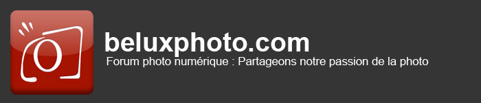 La bannière BELUXPHOTO.com sur votre site Banniere