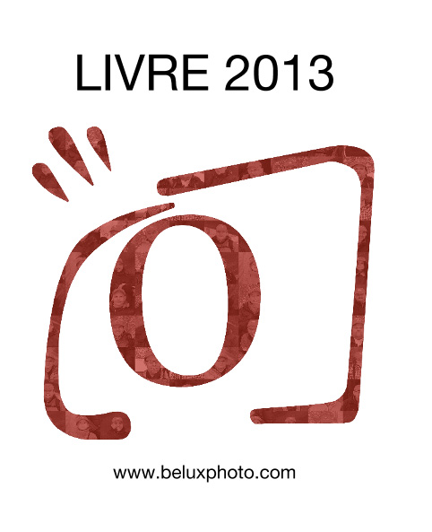 Livre 2013 : Commande Livre2013