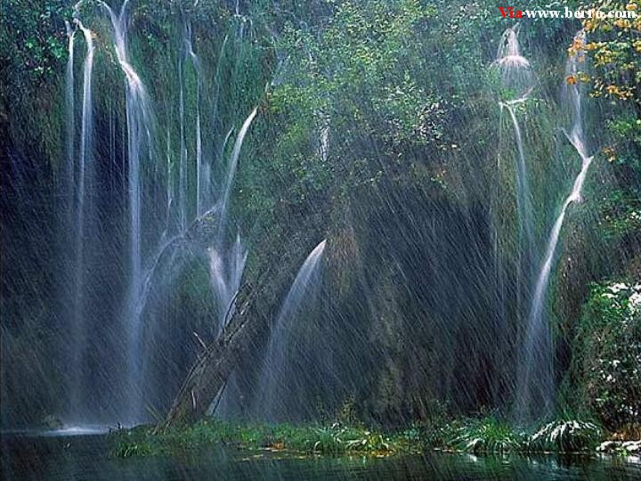 Fresh drinking water springs here. Water_fall_forest_beautiful