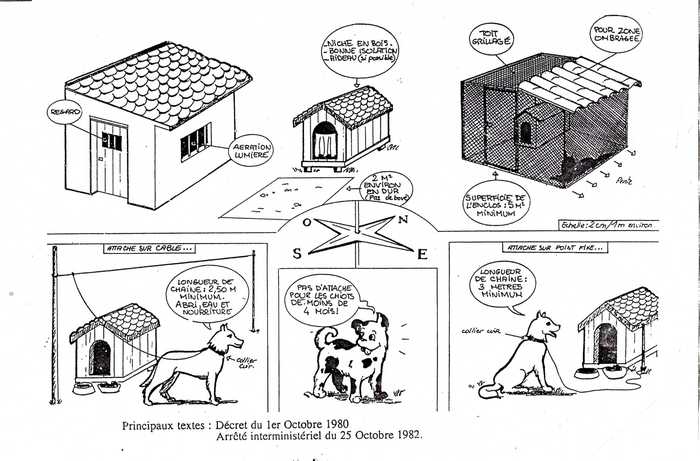 La SPA intervient dans un élevage multi-races Chien_et_attache