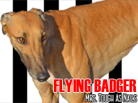 ABRIL (Grandes campeonatos) FlyingBadger