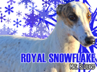 ABRIL (Grandes campeonatos) RoyalSnowflake