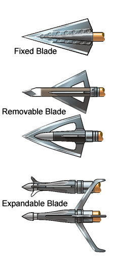 mi  arsenal de caza Crossbow-Bolt-Broadheads