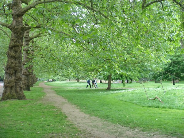 Парк "London" St-James-s-Park_Panoramic-setting_3042