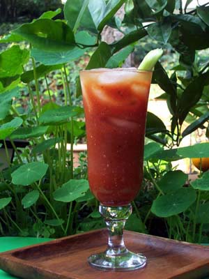 Dirty Martini Beverages_spicy_bloody_mary_300x400