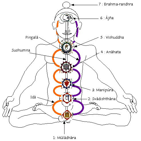 Activación de los 7 Chakras  -  Explicado para niños. Kundalini1