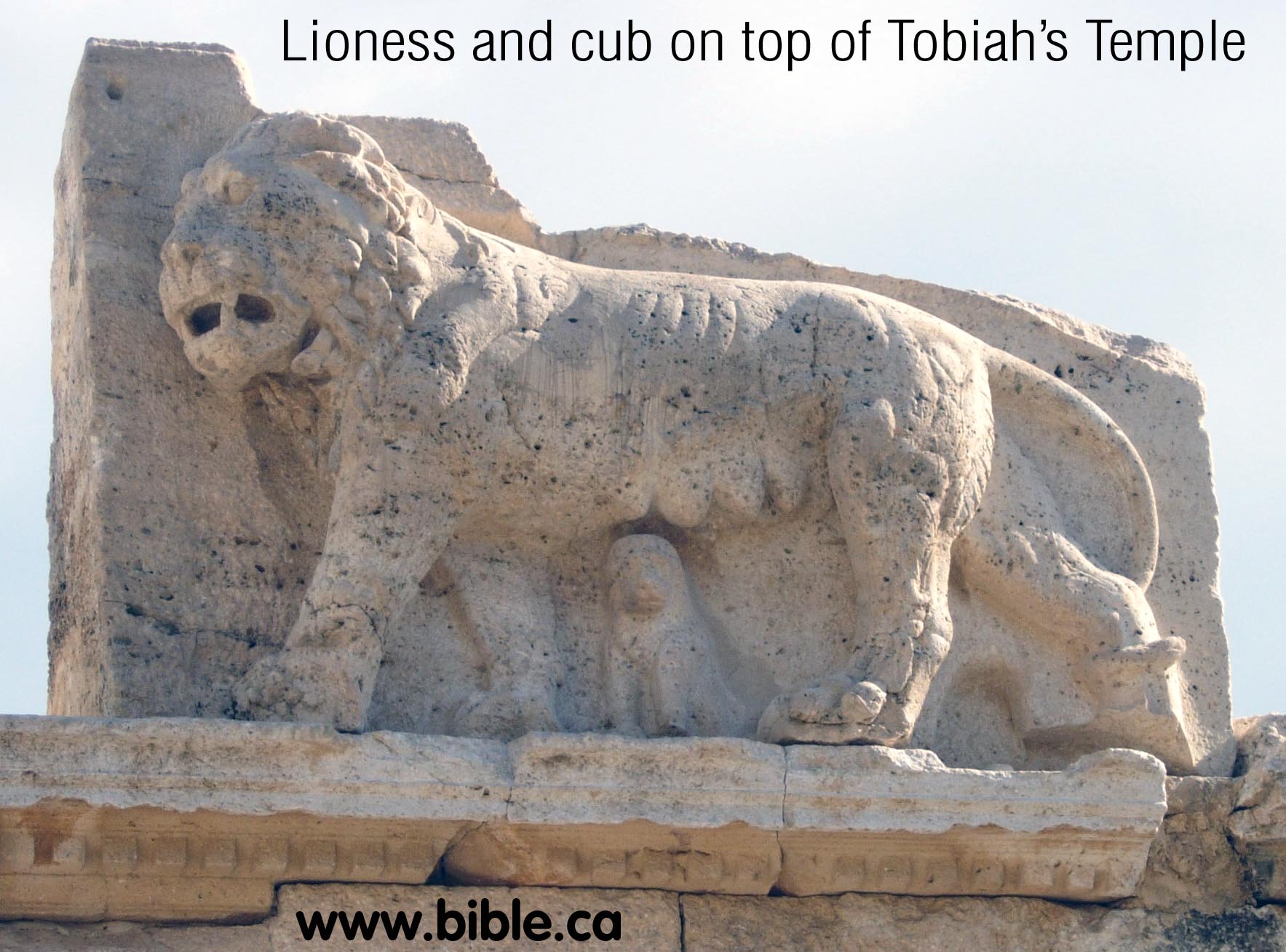 Terceras Elecciones - Página 3 Bible-archeology-tobiah-temple-lioness-cub