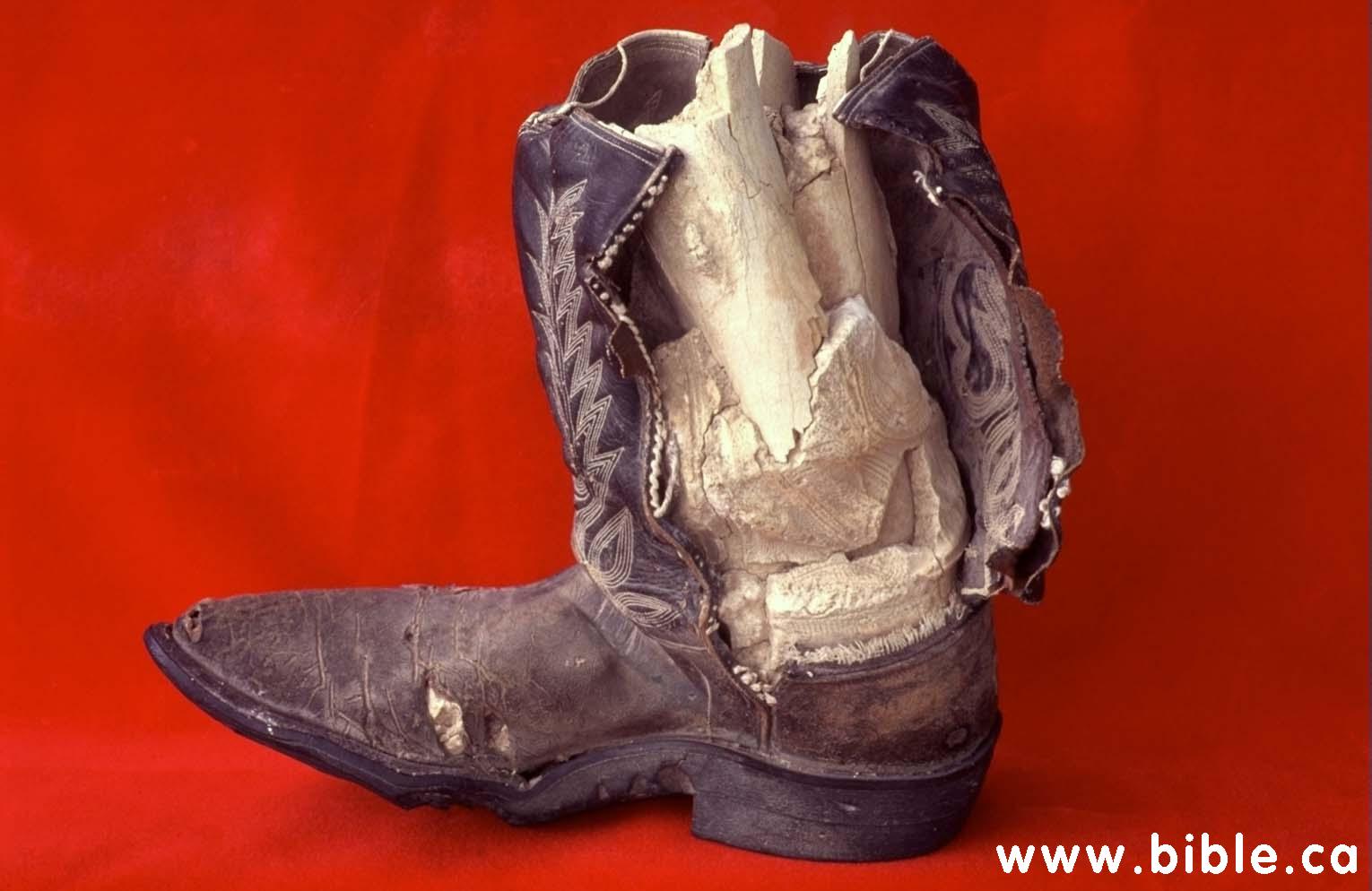 Pre-Flood World Technology That Destroys Evolution (Documentary) Limestone-cowboy-boot-inside