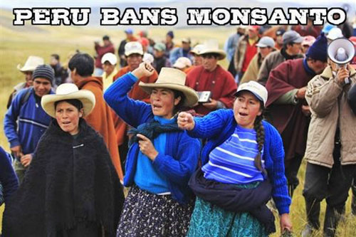 Los peligros de Monsanto Monsanto146_24