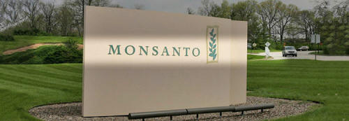 Los peligros de Monsanto Monsanto161_02_small