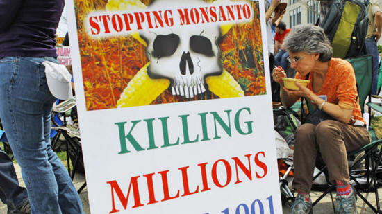 Los peligros de Monsanto Globalfood90_07_small