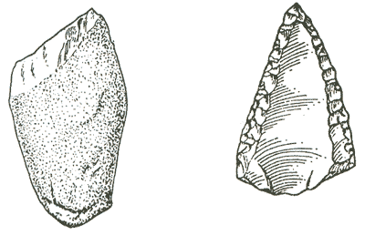 El 12° Planeta Fig001