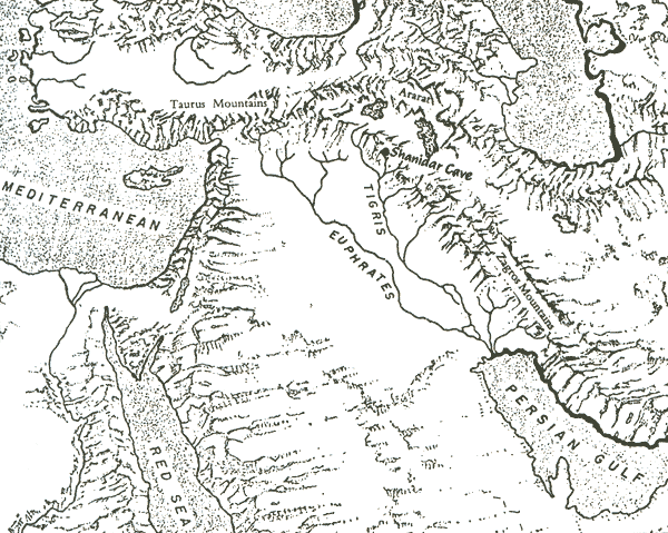 El 12° Planeta Fig002