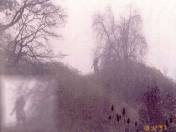 Photograph Of Male Werewolf On Hindlegs,1997 Taken by an Oregon sasquatch researcher  0_BFonHill