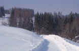صور ثلوج صور تزلج على الثلج صور جبال ثلجية Winter-trees_m6s_small