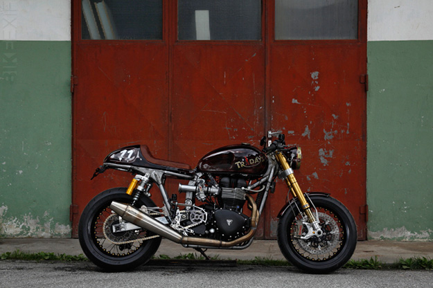 Café racer de la semaine - Page 22 Triumph-bonneville-custom