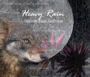 Longplay Rollenspiel : Heavy Rain Dobi-jm