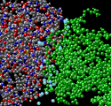 Antibody Structure Water2sm