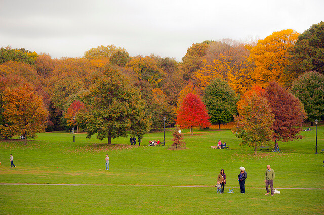 NY Parks names? Fall-prospect-park