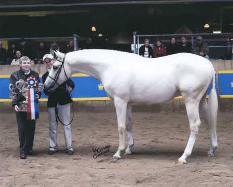 The Current horses in training Rolex%20Royal%20GrandChampa