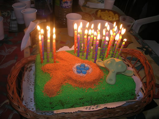 Happy Birthday Chapel! Blender-cake