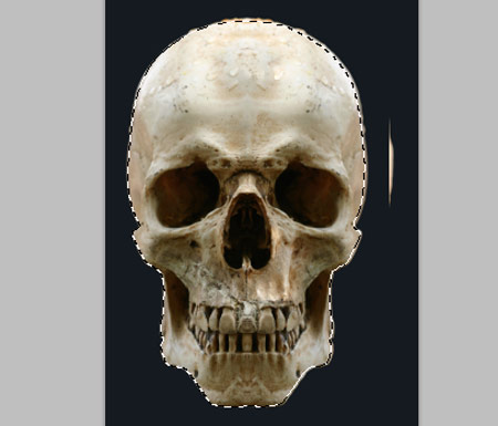 Tutorial - Criando Cartaz Skull 18