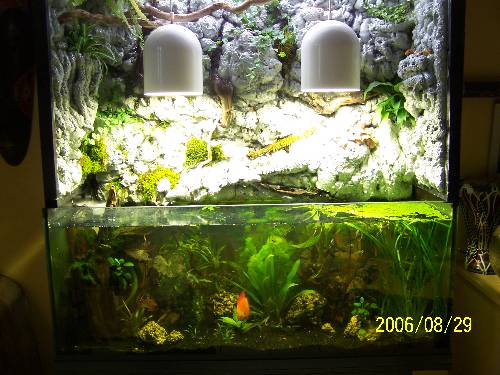 aquarium 8 ans sans eau 19987060830010414