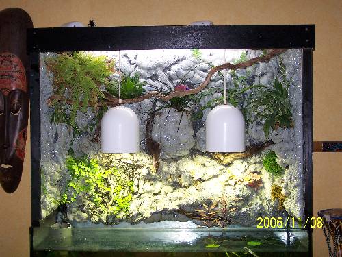 aquarium 8 ans sans eau 19987061113061500