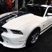 شلبي 2011 م  GT350 01shelbygt350bjlive_thumbnail