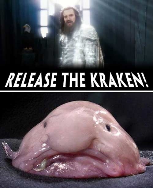 Candidature Valère - [Accepté définitivement] - Page 4 Release-the-kraken-blobfish-500js031710-1268870578