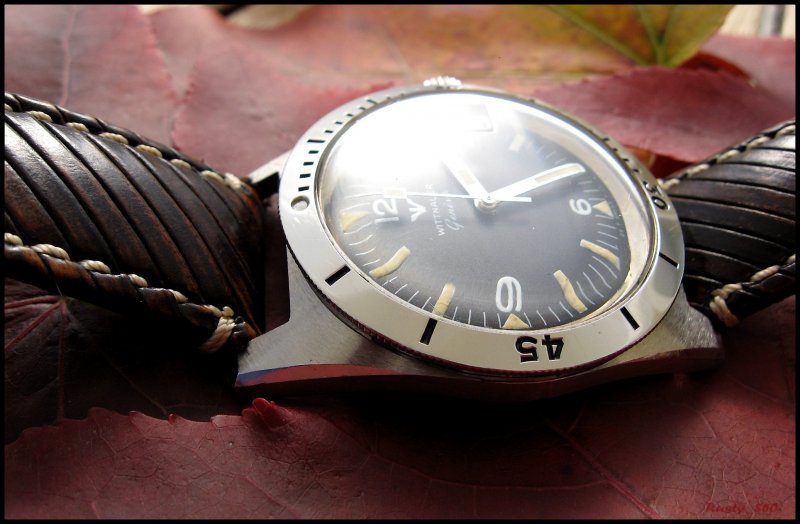 Wittnauer Diver circa 1960 IMG_1431.JPG_800